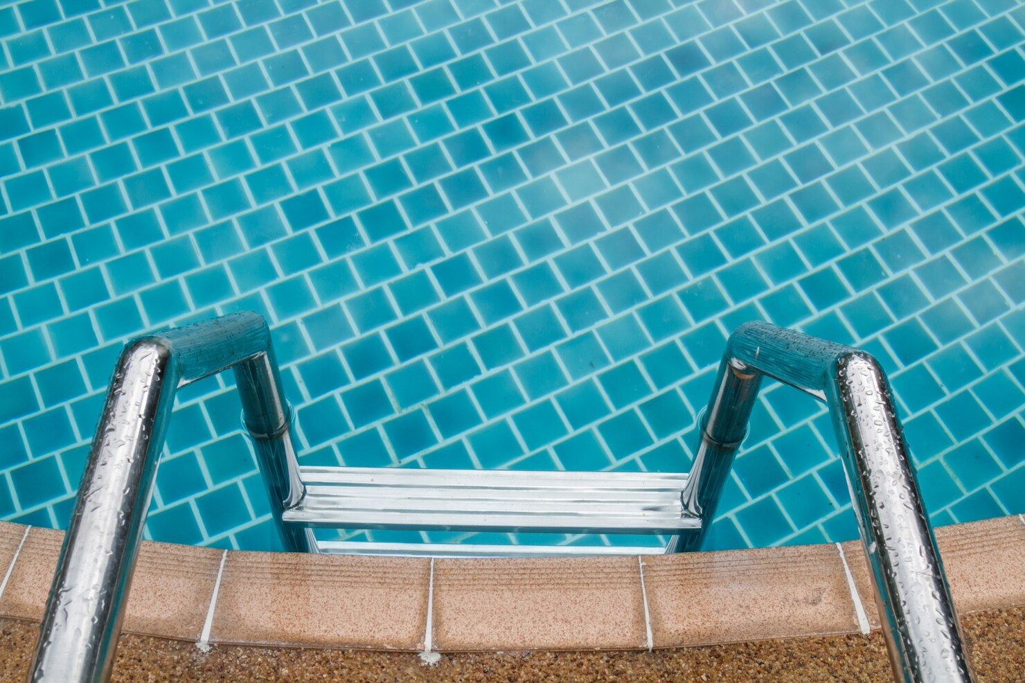 Stainless steel pool ladder leading into a clear blue fiberglass pool with tiled bottom, emphasizing the installation quality and design options for Coastal Pools and Spas.
